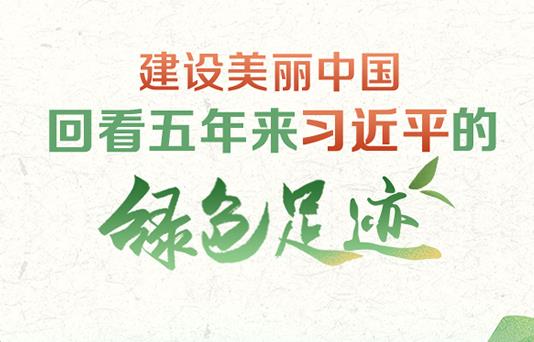 绿色足迹