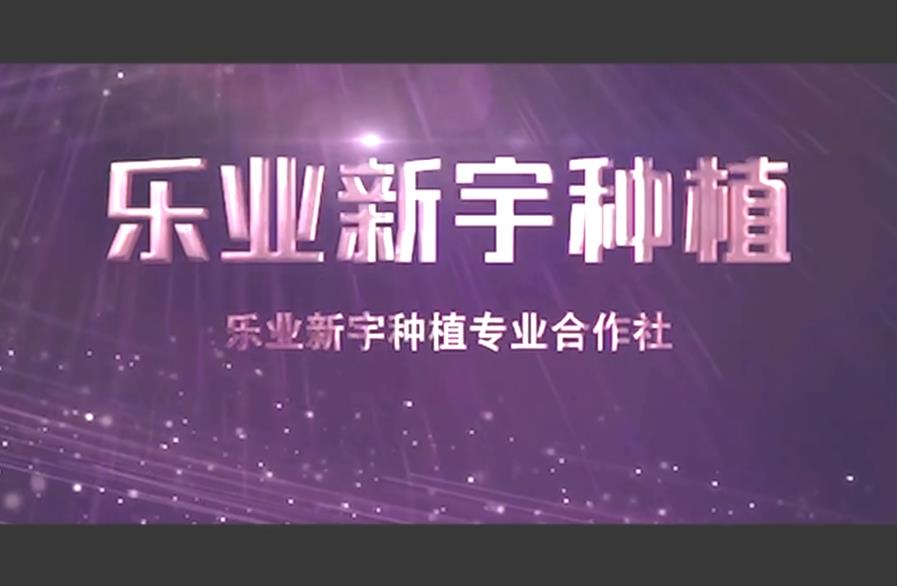 乐业新宇种植专业合作社